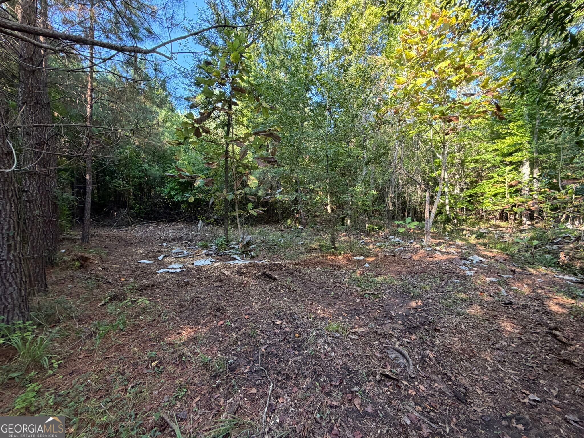 agriculture for sale at 15.62 ACRES Carlisle Gap Road, Woodland, GA 31836 — photo 8