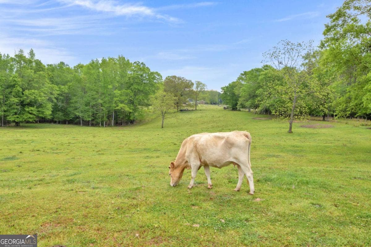 agriculture under contract at 2450 Chestnut Grove Road 2, Shiloh, GA 31826 — photo 6