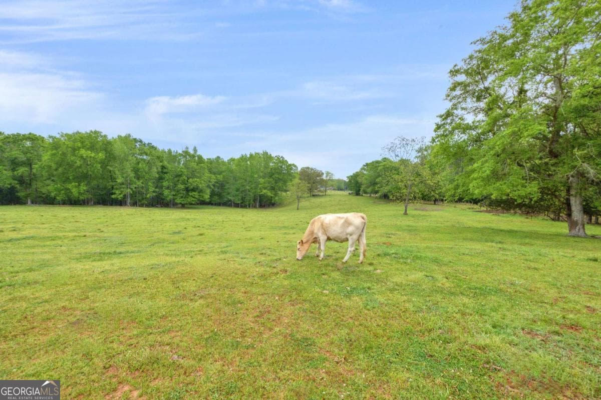 agriculture under contract at 2450 Chestnut Grove Road 2, Shiloh, GA 31826 — photo 7