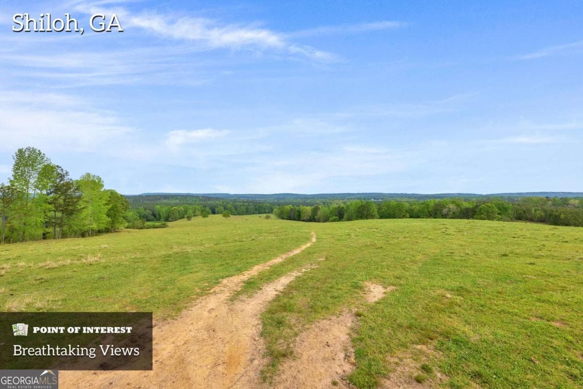 agriculture under contract at 2450 Chestnut Grove Road 2, Shiloh, GA 31826 — photo 3
