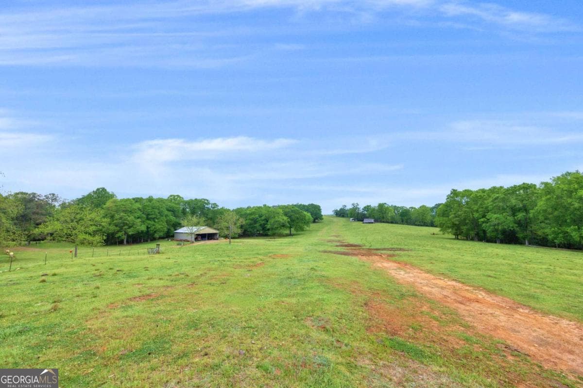 agriculture under contract at 2450 Chestnut Grove Road 2, Shiloh, GA 31826 — photo 5