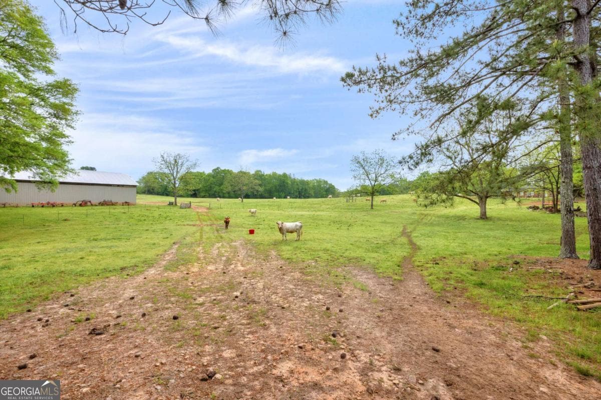agriculture under contract at 2450 Chestnut Grove Road 2, Shiloh, GA 31826 — photo 9