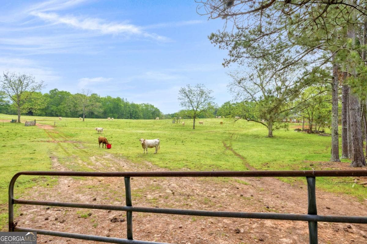 agriculture under contract at 2450 Chestnut Grove Road 2, Shiloh, GA 31826 — photo 10
