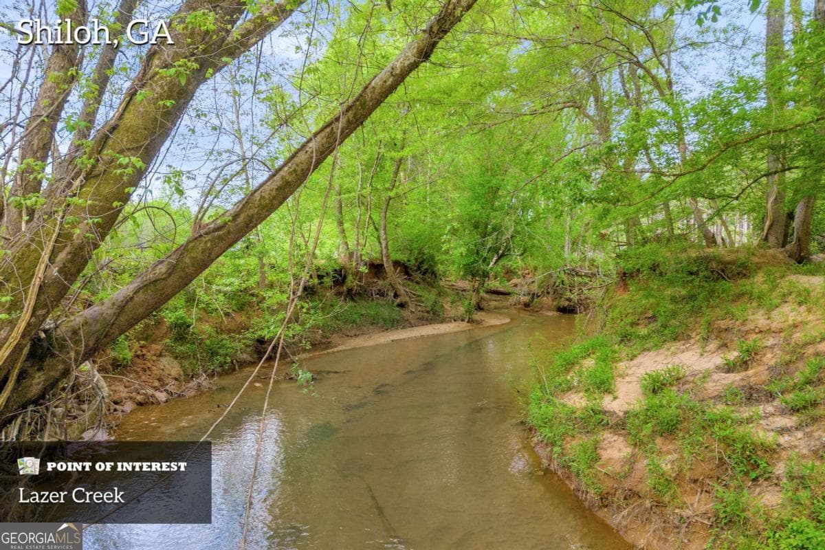 agriculture under contract at 2450 Chestnut Grove Road 2, Shiloh, GA 31826 — photo 4