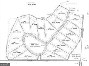 residential lot for sale at 43 High Summit Drive, Talking Rock, GA 30175 — photo 2