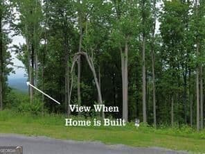 residential lot for sale at 43 High Summit Drive, Talking Rock, GA 30175 — photo 10