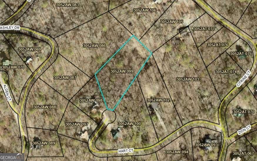 residential lot for sale at 204 Hart Court, Ellijay, GA 30540 — photo 6