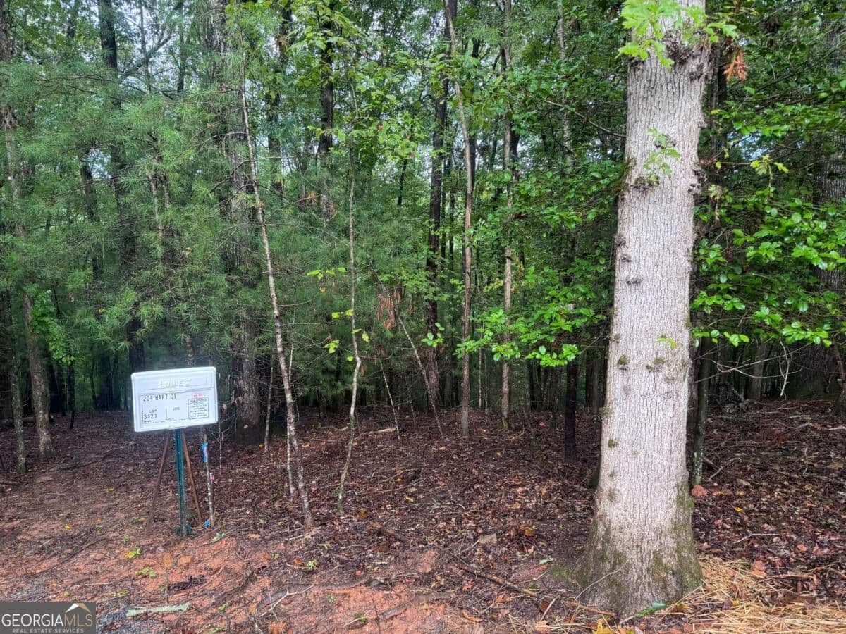 residential lot for sale at 204 Hart Court, Ellijay, GA 30540 — photo 3