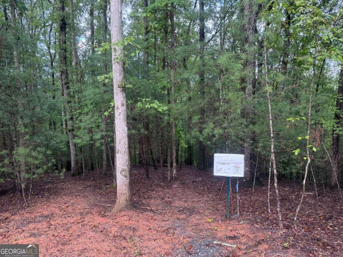 residential lot for sale at 204 Hart Court, Ellijay, GA 30540 — photo 4