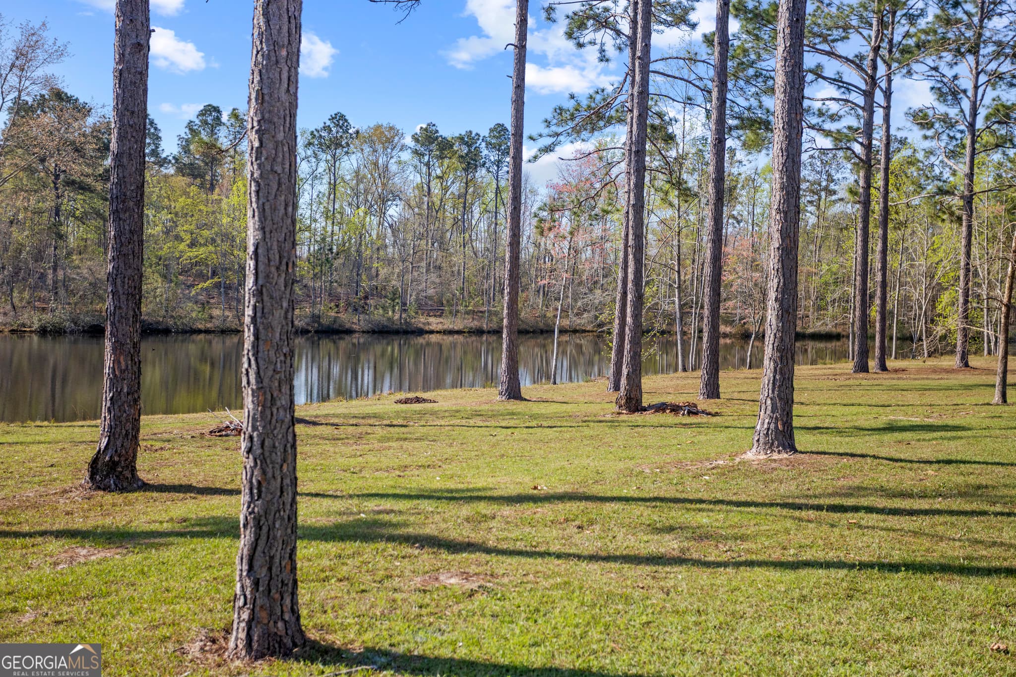 4 bedroom, 3.5 bathroom, 4,710 sq ft single family residence for sale at 2136 W GA Hwy 130, Vidalia, GA 30474 — photo 6
