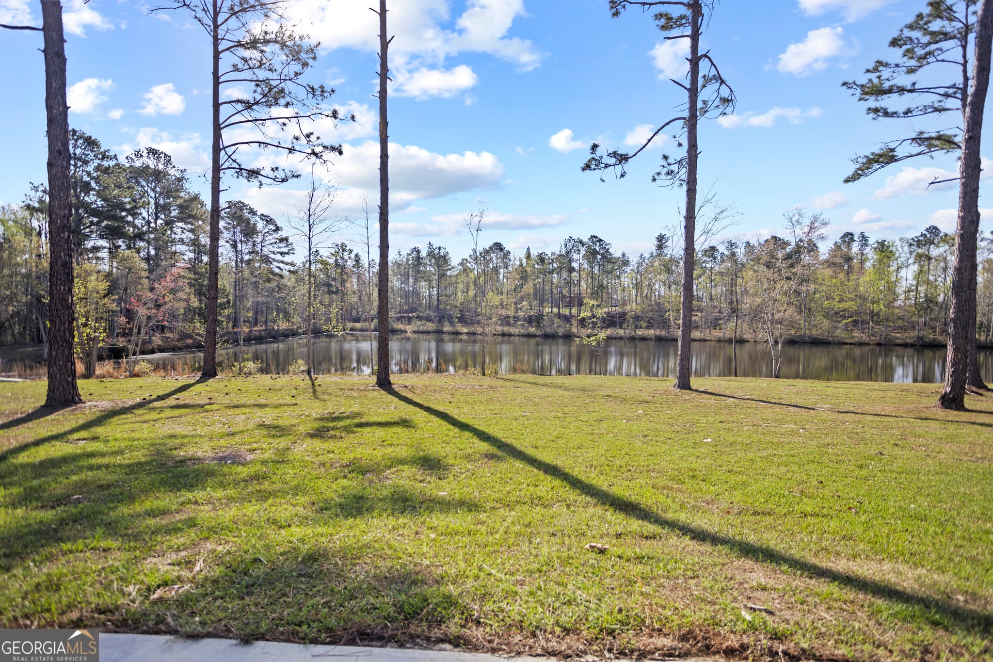 4 bedroom, 3.5 bathroom, 4,710 sq ft single family residence for sale at 2136 W GA Hwy 130, Vidalia, GA 30474 — photo 5