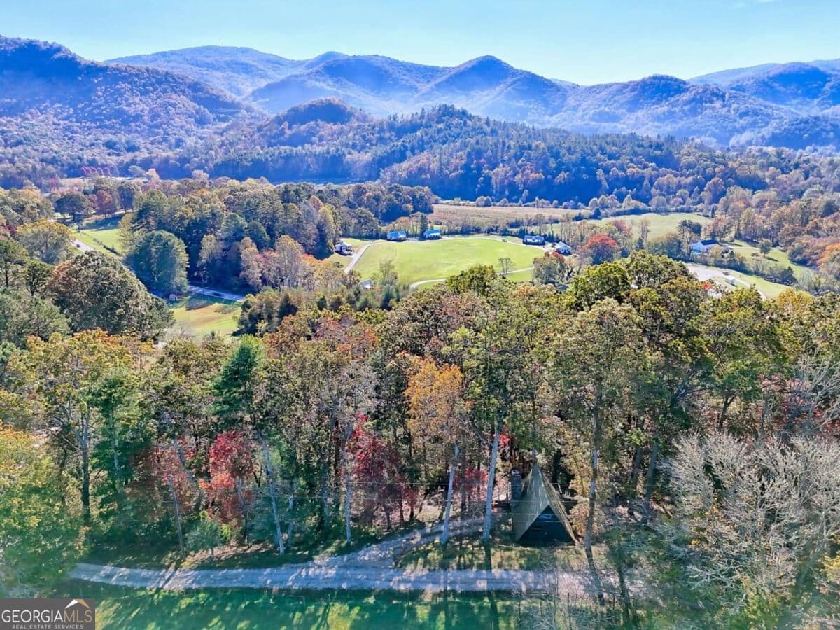 residential lot for sale at 638 Chalet Village Lane, Dillard, GA 30537 — photo 4