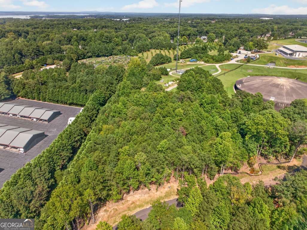 estate lot for sale at 5557 Shadburn Ferry Road LOT 4, Buford, GA 30518 — photo 9