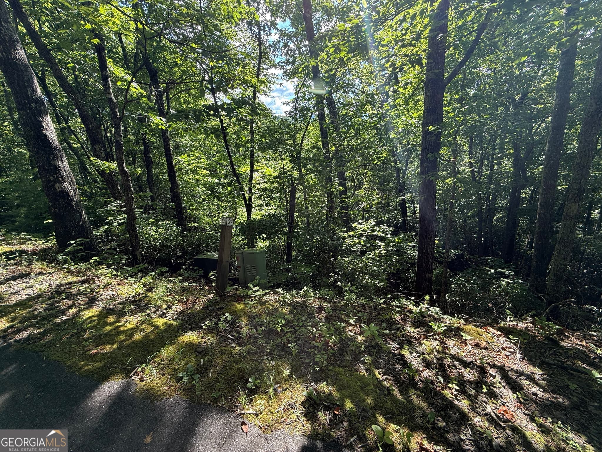 residential lot for sale at LOT 33 Fodder Creek Mill Drive, Hiawassee, GA 30546 — photo 2