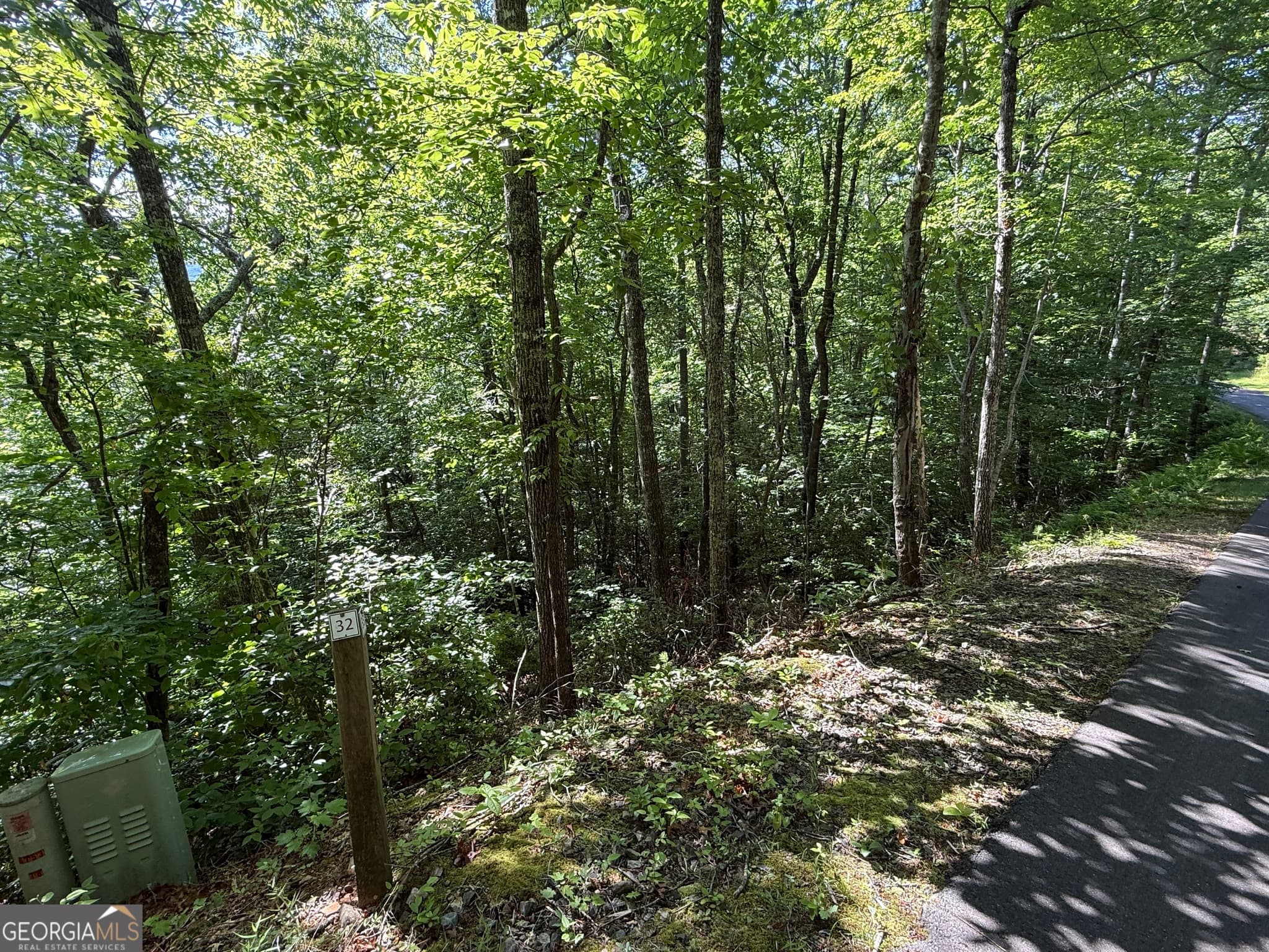 residential lot for sale at LOT 33 Fodder Creek Mill Drive, Hiawassee, GA 30546 — photo 7