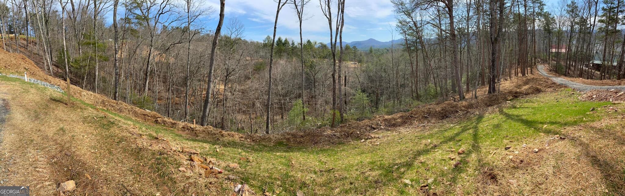 residential lot for sale at 50 Mountain Laurel Ridge, Mineral Bluff, GA 30559 — photo 3