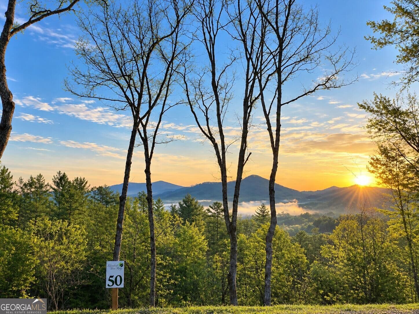 residential lot for sale at 50 Mountain Laurel Ridge, Mineral Bluff, GA 30559 — photo 1 of 10