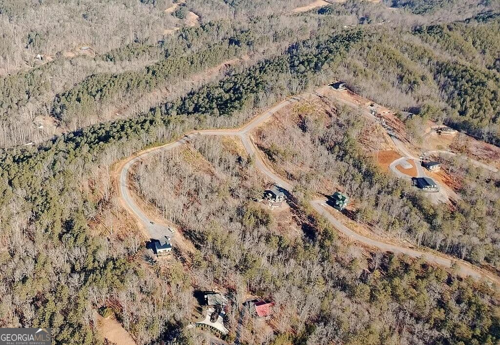 residential lot for sale at 50 Mountain Laurel Ridge, Mineral Bluff, GA 30559 — photo 5