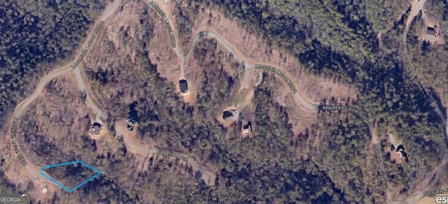 residential lot for sale at 50 Mountain Laurel Ridge, Mineral Bluff, GA 30559 — photo 4