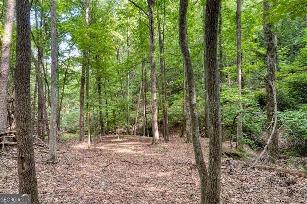 residential lot for sale at 90 Cardinal Cove, Big Canoe, GA 30143 — photo 2