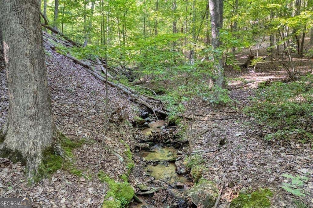 residential lot for sale at 90 Cardinal Cove, Big Canoe, GA 30143 — photo 7