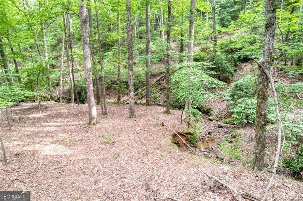 residential lot for sale at 90 Cardinal Cove, Big Canoe, GA 30143 — photo 3