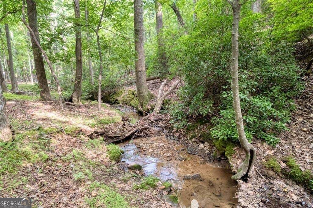 residential lot for sale at 90 Cardinal Cove, Big Canoe, GA 30143 — photo 5