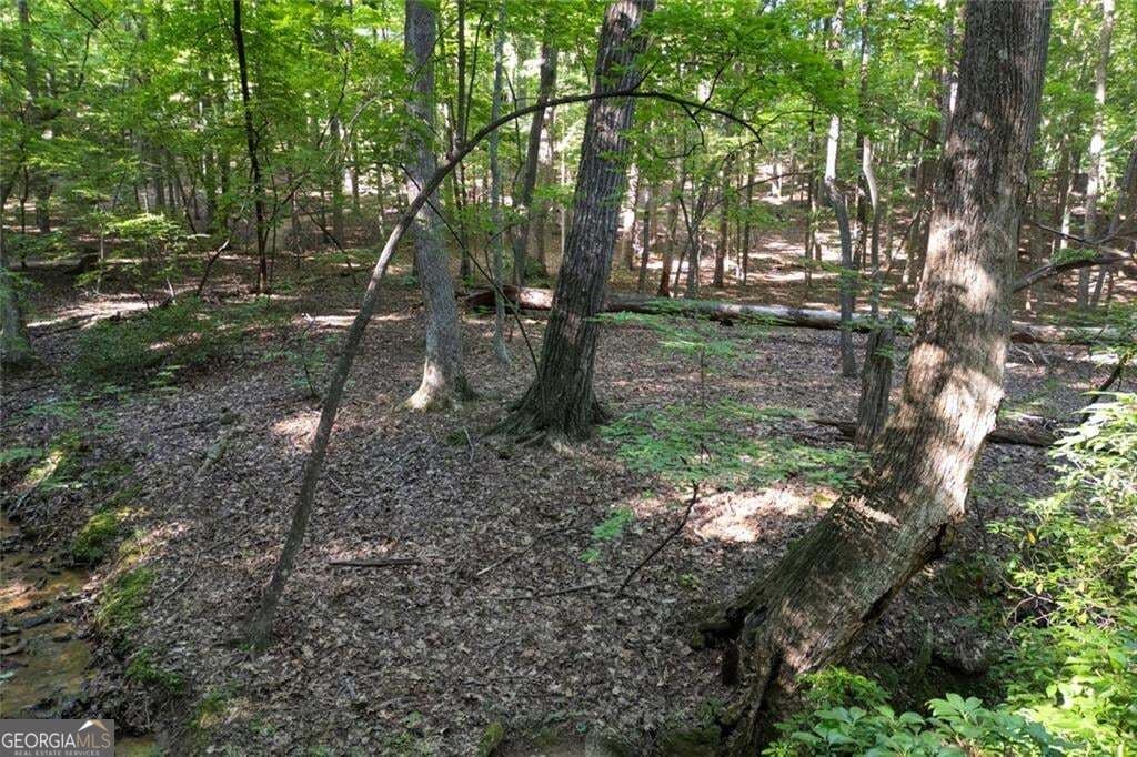 residential lot for sale at 90 Cardinal Cove, Big Canoe, GA 30143 — photo 9
