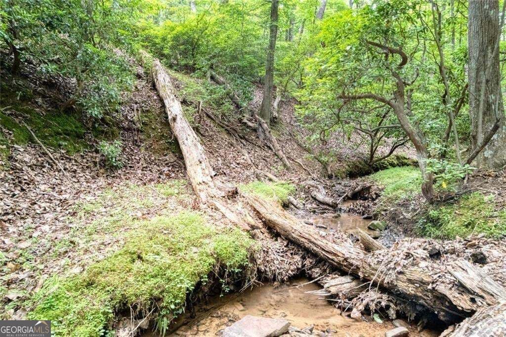 residential lot for sale at 90 Cardinal Cove, Big Canoe, GA 30143 — photo 4