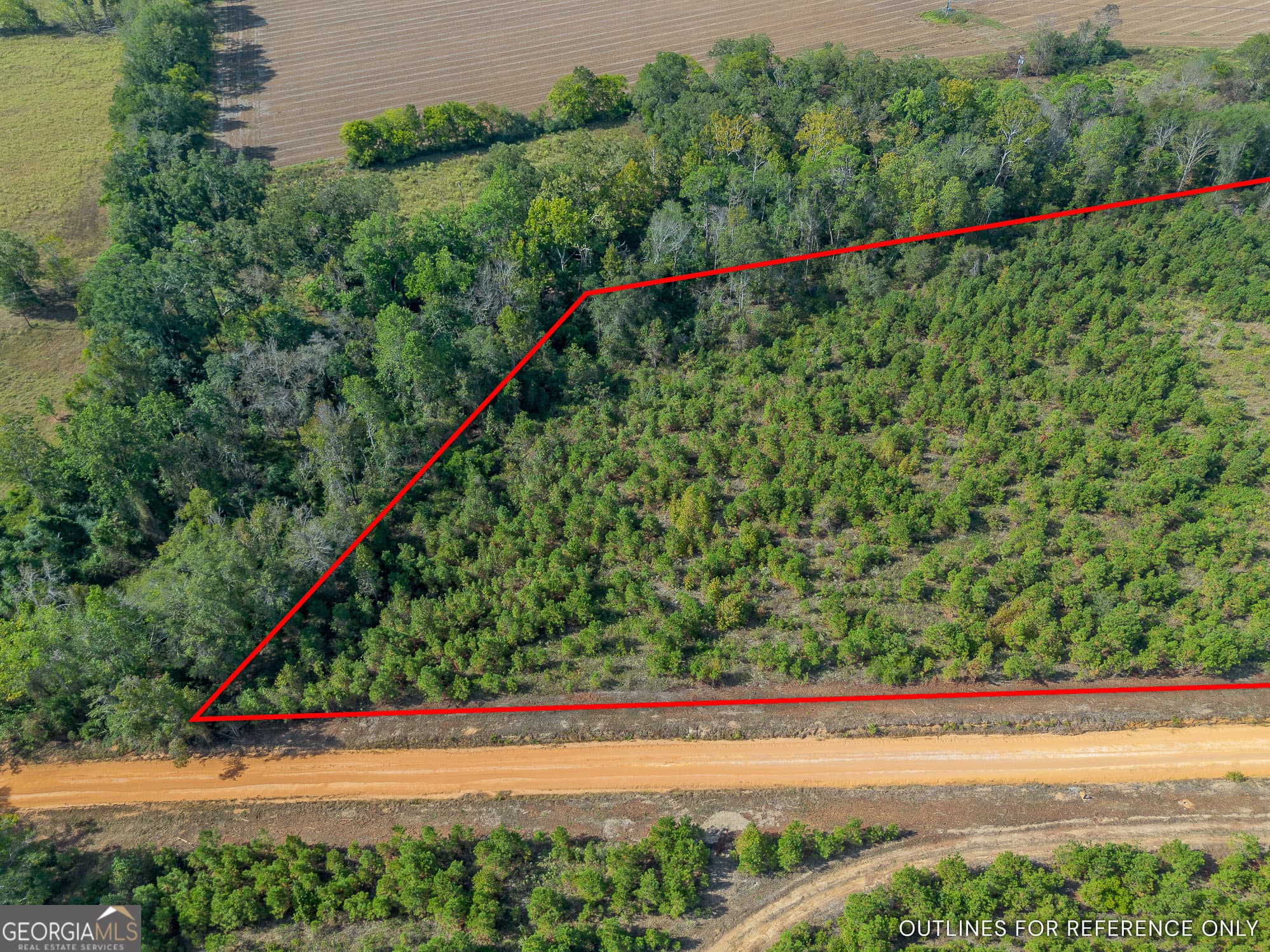 agriculture for sale at TRACT 6 United Church Road, Jacksonville, GA 31544 — photo 2