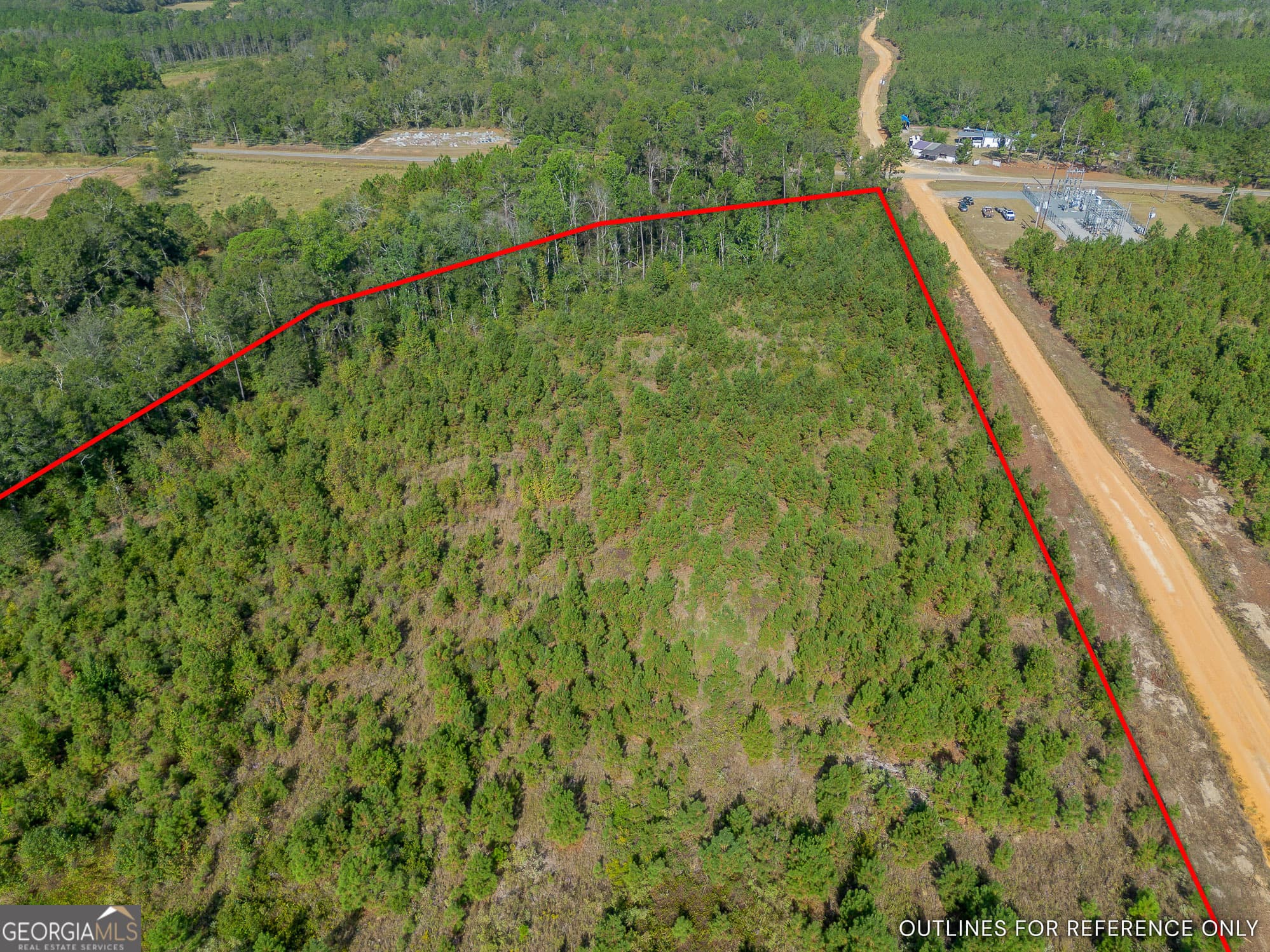 agriculture for sale at TRACT 6 United Church Road, Jacksonville, GA 31544 — photo 6