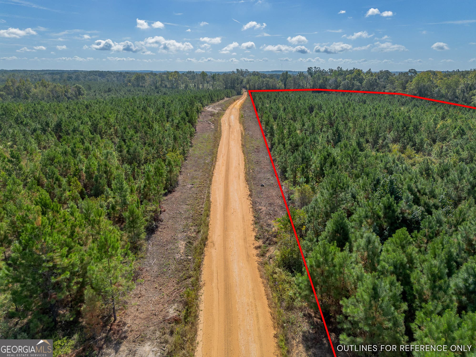 agriculture for sale at TRACT 6 United Church Road, Jacksonville, GA 31544 — photo 7