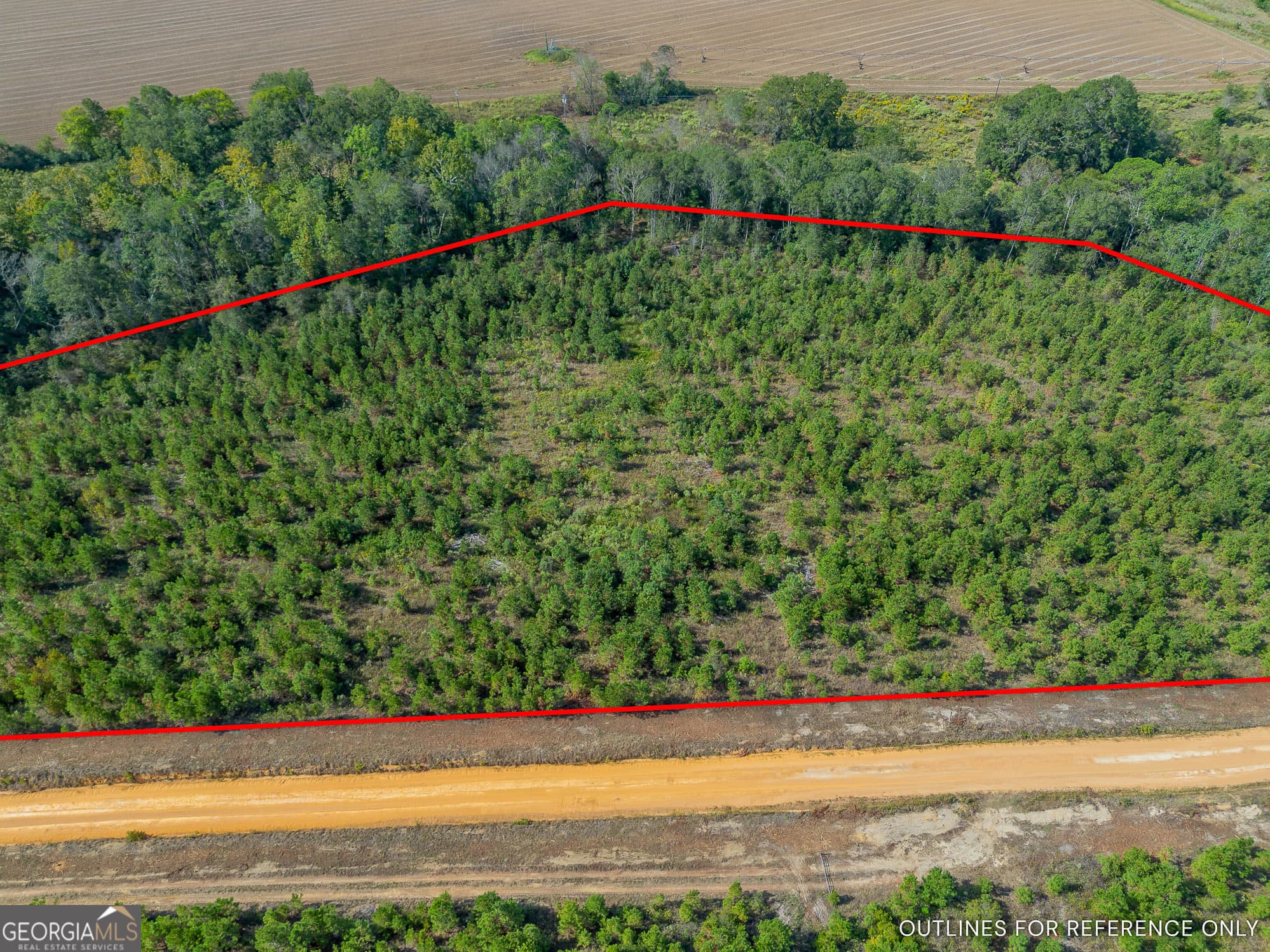 agriculture for sale at TRACT 6 United Church Road, Jacksonville, GA 31544 — photo 3