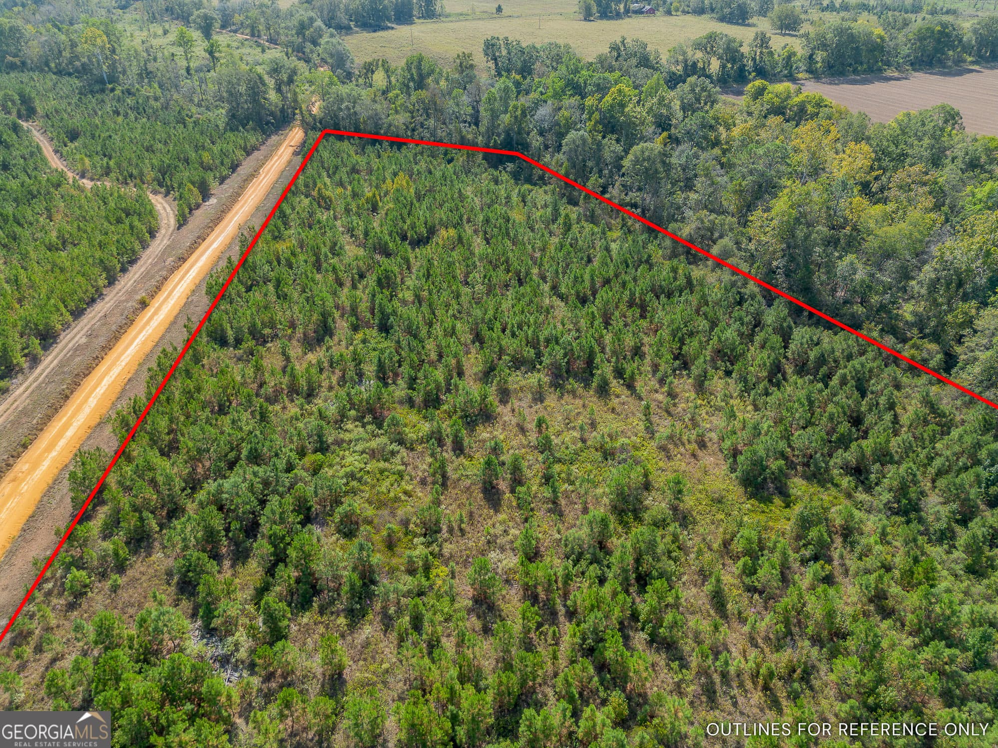 agriculture for sale at TRACT 6 United Church Road, Jacksonville, GA 31544 — photo 5