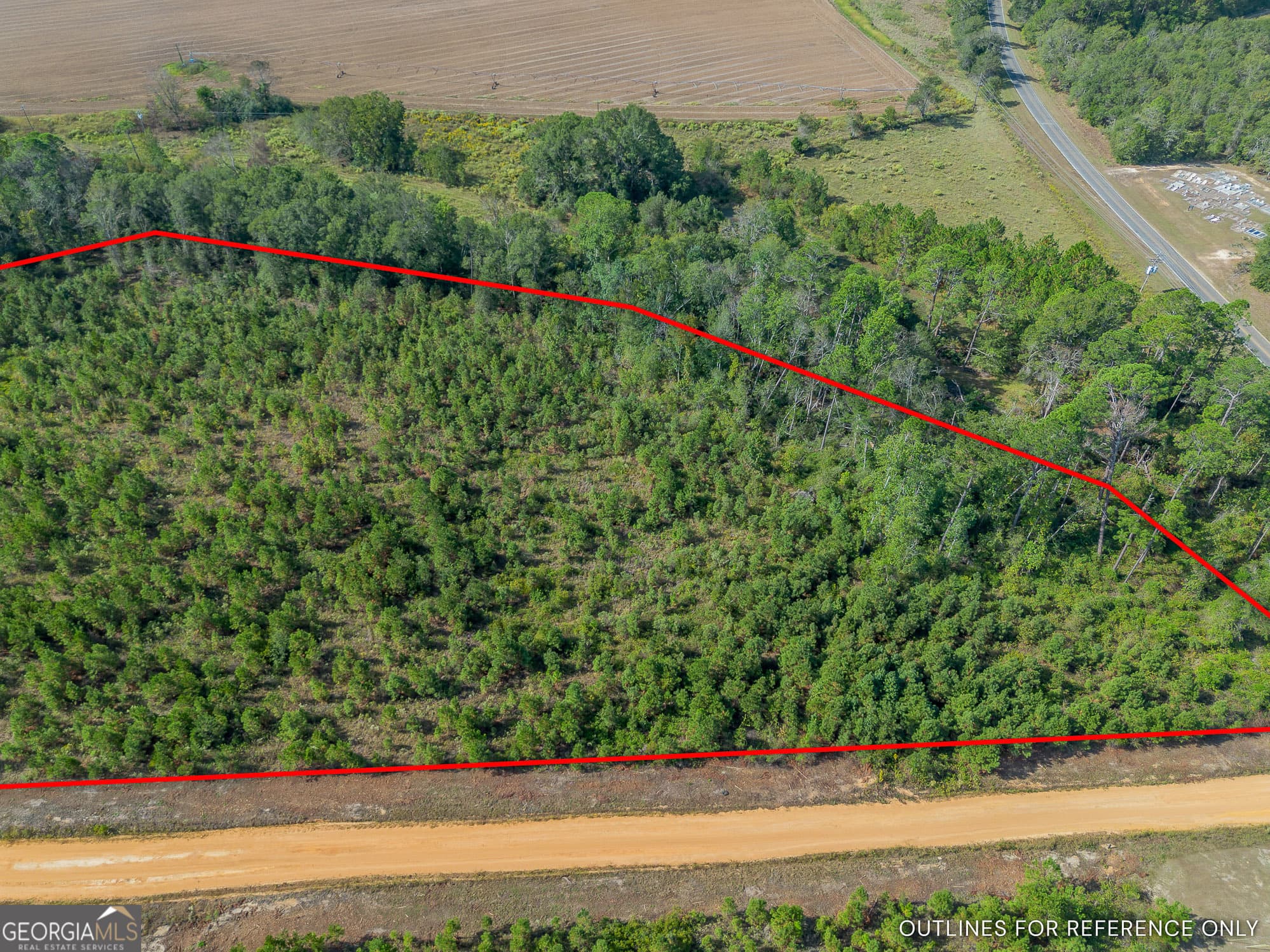 agriculture for sale at TRACT 6 United Church Road, Jacksonville, GA 31544 — photo 4