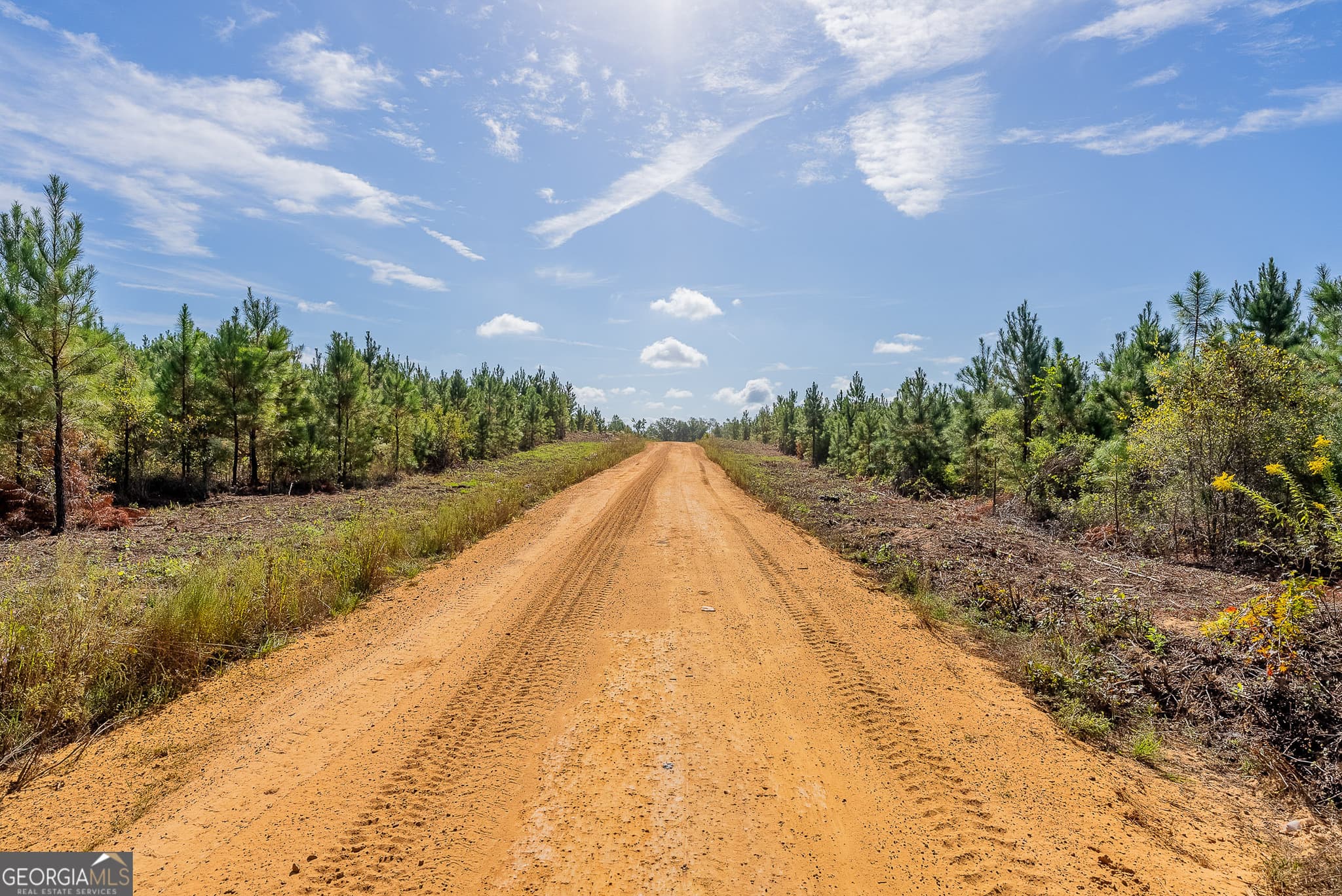 agriculture for sale at TRACT 6 United Church Road, Jacksonville, GA 31544 — photo 8