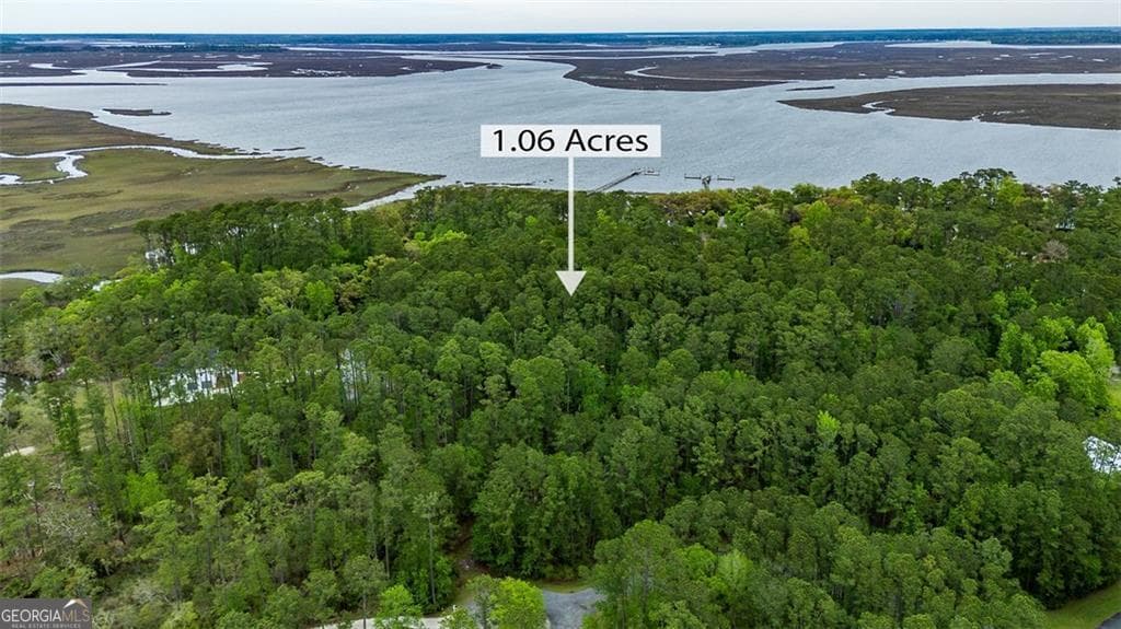residential lot for sale at LOT 216 Riverpoint Lane, Townsend, GA 31331 — photo 6