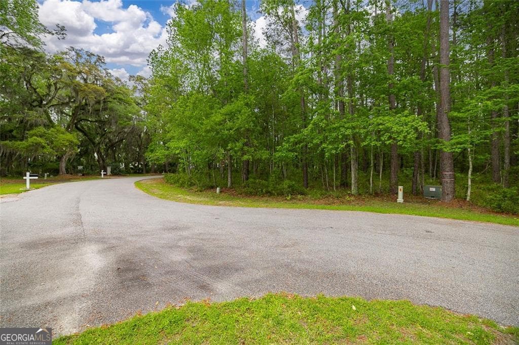 residential lot for sale at LOT 216 Riverpoint Lane, Townsend, GA 31331 — photo 7