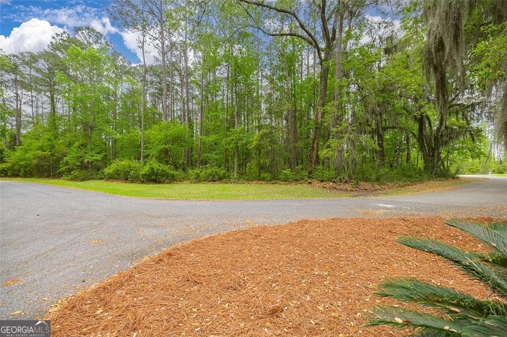 residential lot for sale at LOT 216 Riverpoint Lane, Townsend, GA 31331 — photo 5