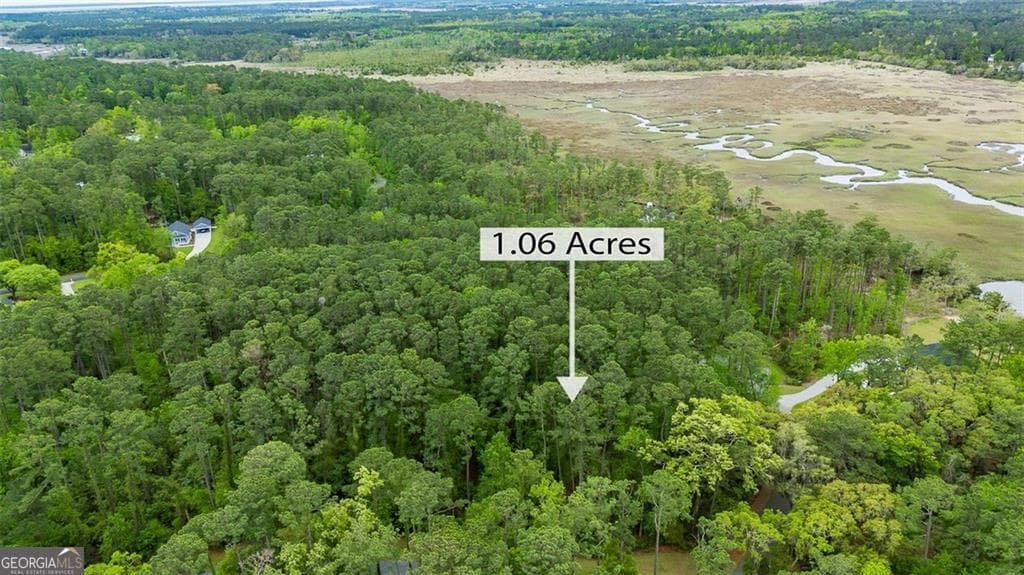 residential lot for sale at LOT 216 Riverpoint Lane, Townsend, GA 31331 — photo 9