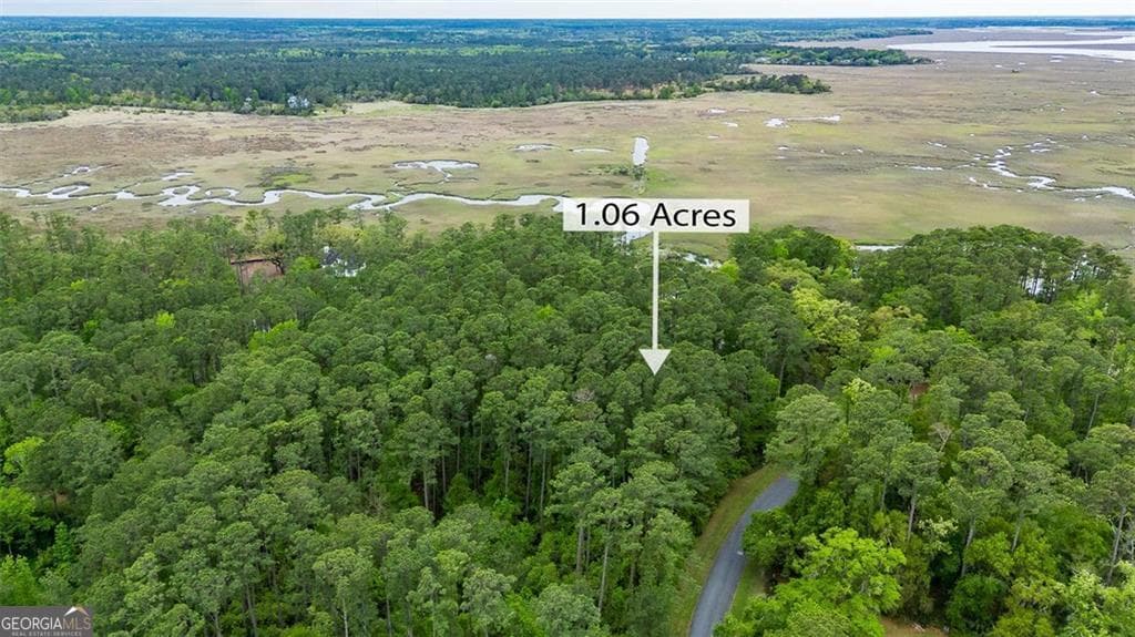 residential lot for sale at LOT 216 Riverpoint Lane, Townsend, GA 31331 — photo 10