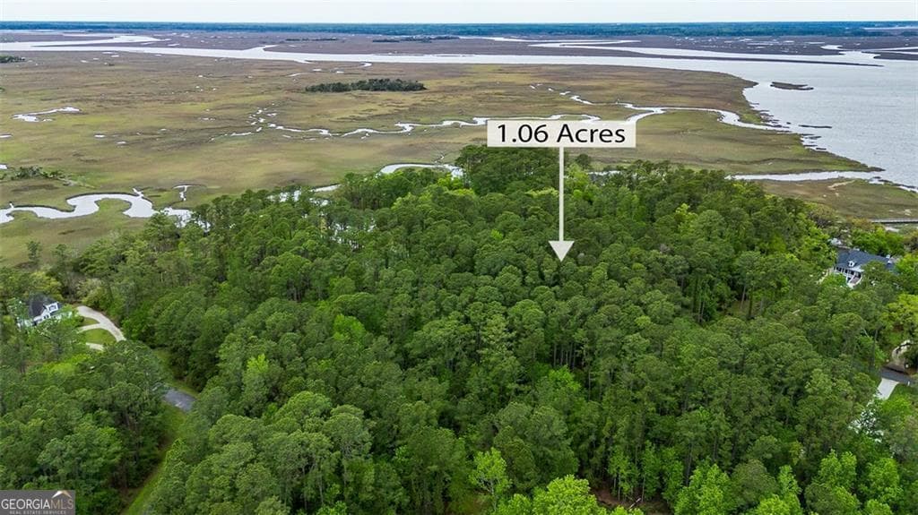 residential lot for sale at LOT 216 Riverpoint Lane, Townsend, GA 31331 — photo 4