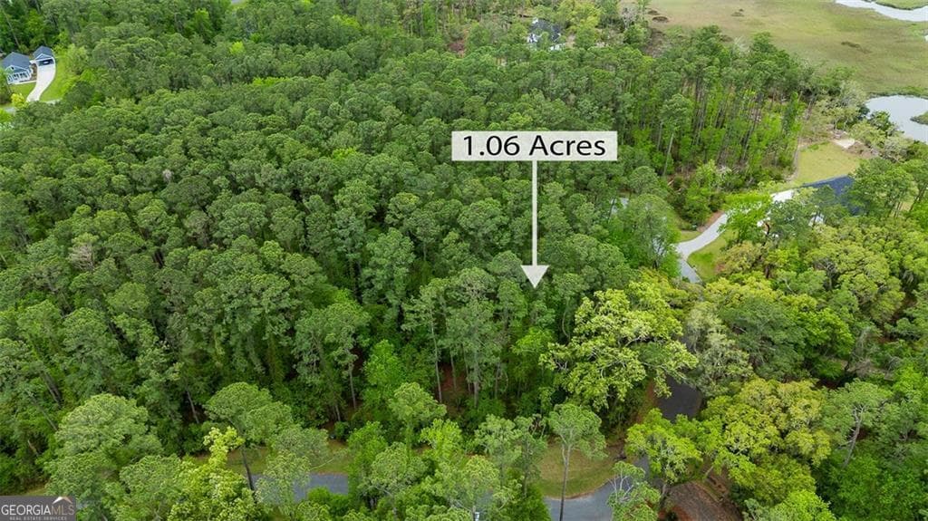 residential lot for sale at LOT 216 Riverpoint Lane, Townsend, GA 31331 — photo 8