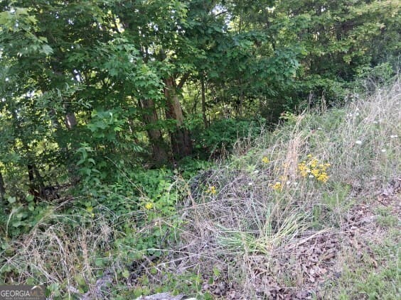 residential lot for sale at 3711 Cagle Road, Gainesville, GA 30501 — photo 1 of 4