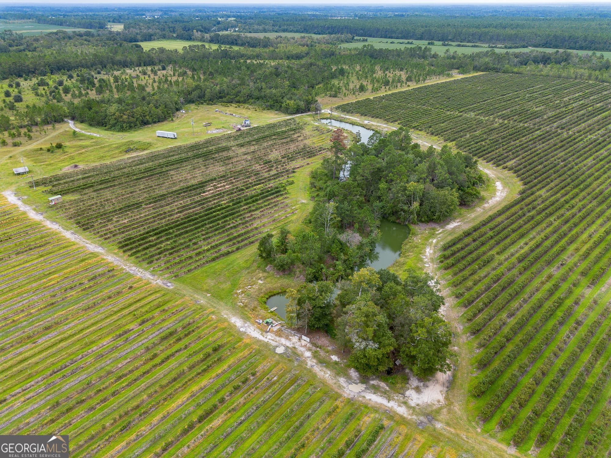 agriculture sold at 0 Jasmine Lane, Alma, GA 31510