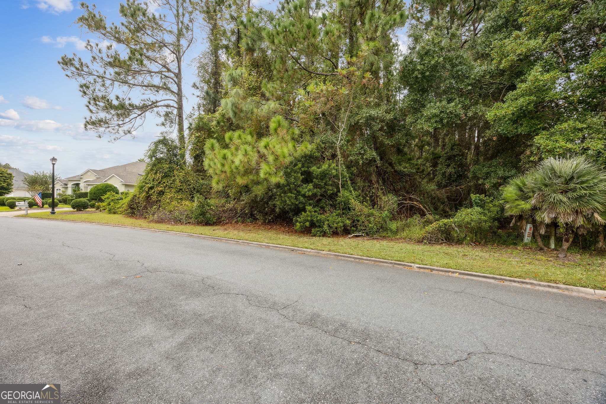 residential lot for sale at 1040 Greenwillow Drive, St. Marys, GA 31558 — photo 3