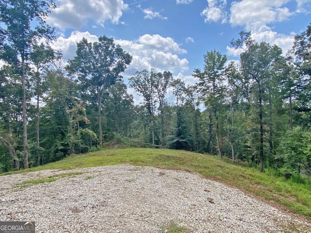 unimproved land for sale at 3.3AC Trillium Trail, Dahlonega, GA 30533 — photo 2