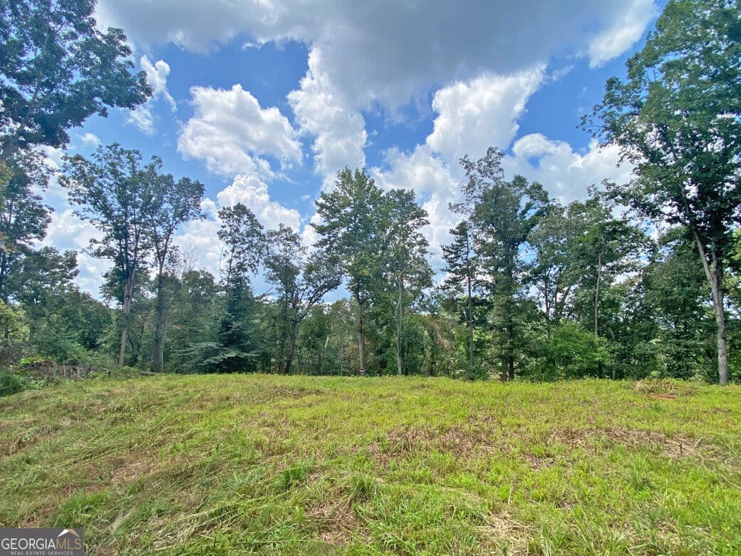 unimproved land for sale at 3.3AC Trillium Trail, Dahlonega, GA 30533 — photo 6