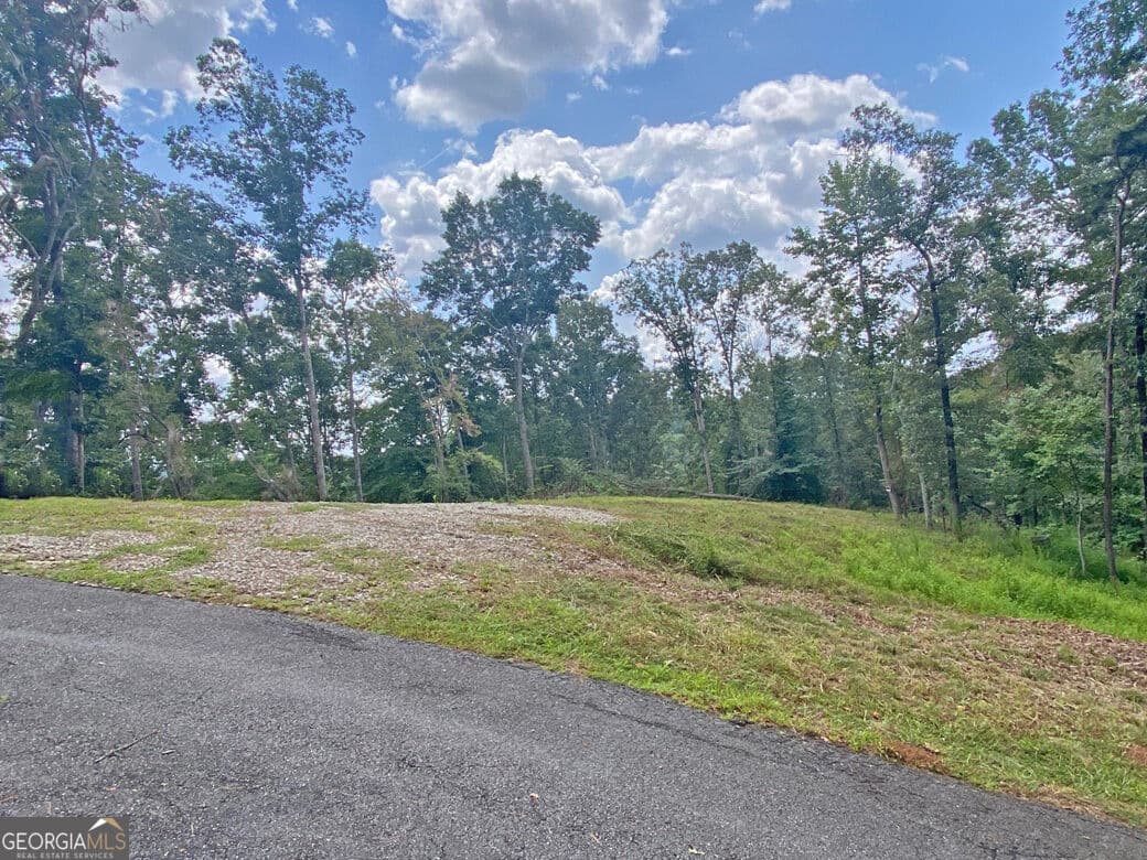 unimproved land for sale at 3.3AC Trillium Trail, Dahlonega, GA 30533 — photo 7