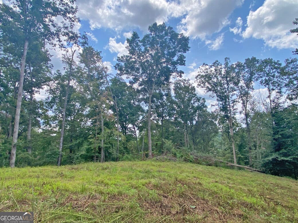 unimproved land for sale at 3.3AC Trillium Trail, Dahlonega, GA 30533 — photo 3